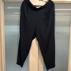 Cropped Navy Dress pants